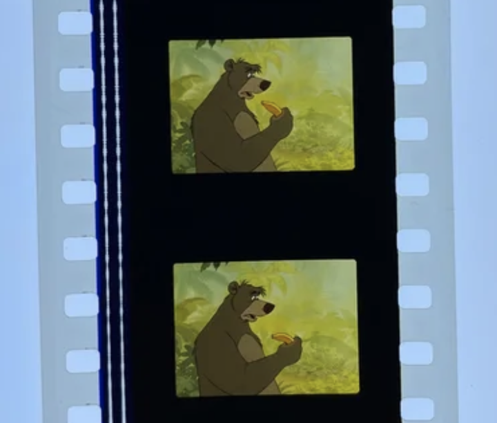 The Jungle Book (1967). Fragmento de 35mm, formato 4/3. Fíjate en las dos pistas de audio óptico a la izquierda